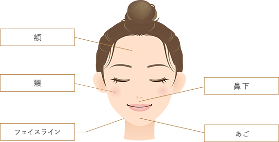 顔脱毛箇所のイラスト