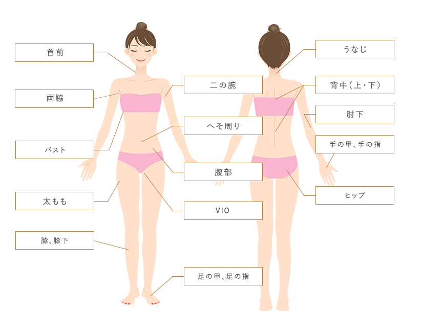 全身脱毛箇所のイラスト