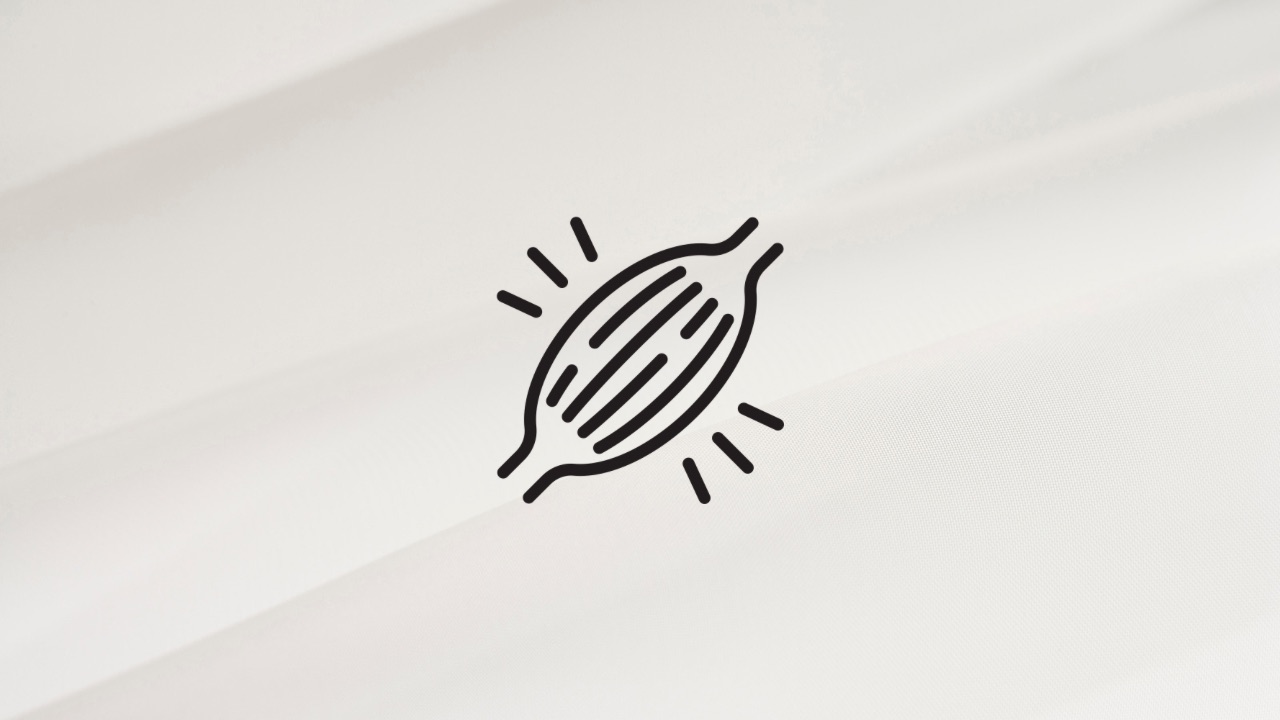 筋肉のイラスト